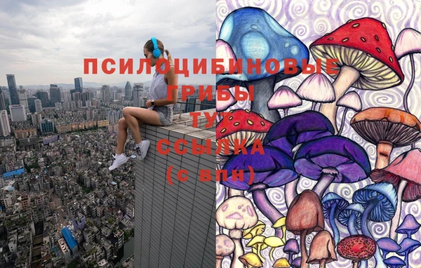 скорость Заволжск