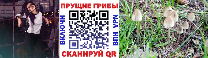 Псилоцибиновые грибы GOLDEN TEACHER  Купить  Лихославль 